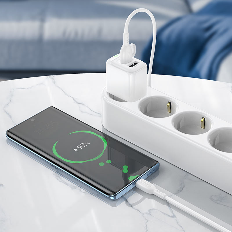 Зарядное устройство BAS41A Potential EU набор с кабелем